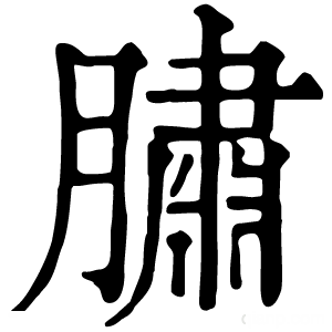 康熙字典 䐹