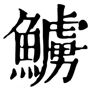 康熙字典 䲐