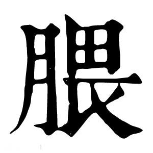 康熙字典 腲