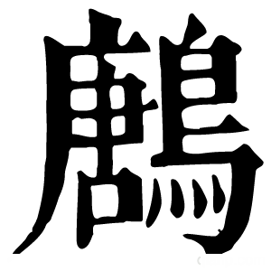 康熙字典 鶶